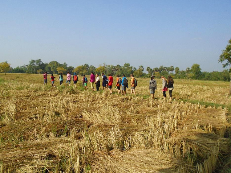 File:Growing food 2017 10 Deepanam Annapurna rice harvest.jpg