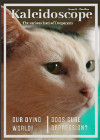 Kaleidoscope 5.jpg