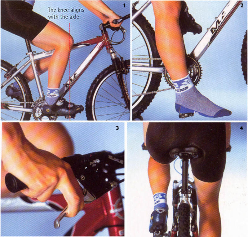Image:Cycling_posture.jpg