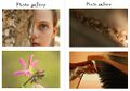 Kaleidoscope 7 - photos.jpg
