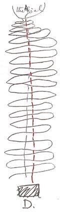 Mother drawing - départ (Start) and arrivé (Finish).JPG