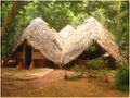 Thumbnail for version as of 07:10, 10 June 2009