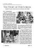 The Golden Chain 2018 Nov - The Story of Our School.jpg