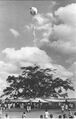 Auroville inauguration balloon.jpg