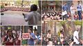2016 Aranya collage.jpg