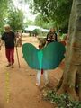 Photo Natures Theater - blue buttefly wings.jpg