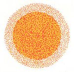 SAIIER logo orange.jpg