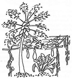 PebbleGarden garden.jpg