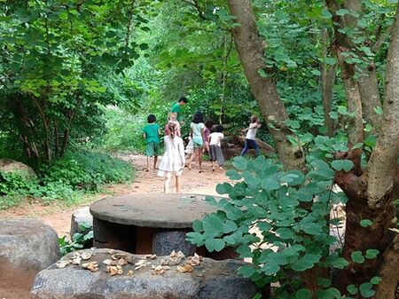 TLC 2020 3 - Pitchandikulam Forest explorations.jpg